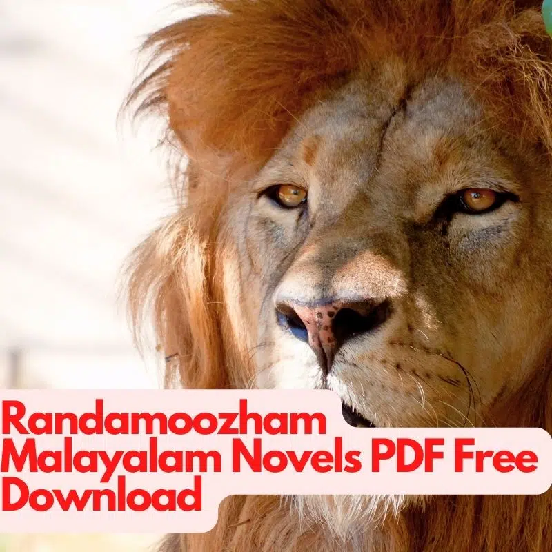 Randamoozham Malayalam Novels PDF Free Download